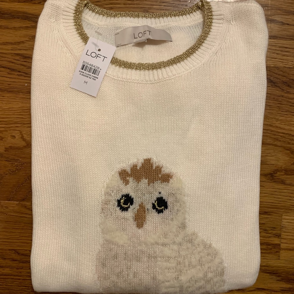 Loft Sweater with Owl Detail NWT